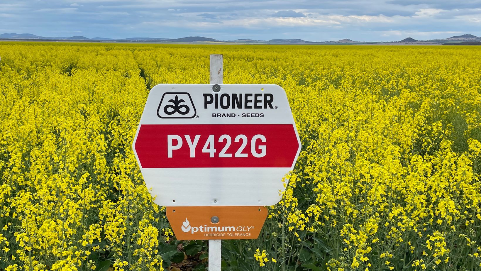 PY422G website tile landscape.jpg