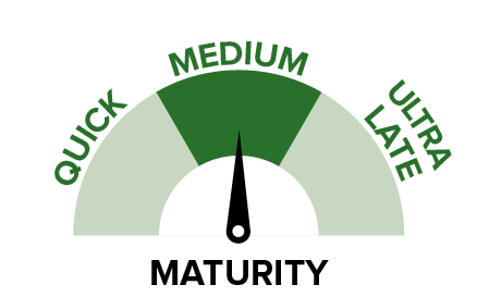 Mega Sweet - Maturity.png