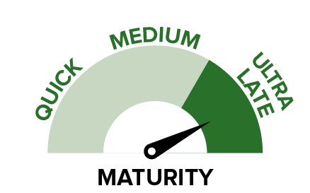 Mega Feed - Maturity.png