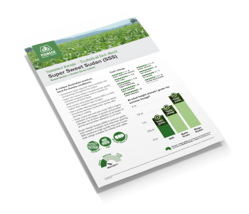 SSS note image cover