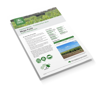 Mega Feed note image cover