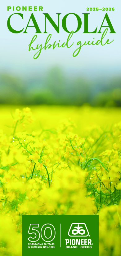 Canola cover image