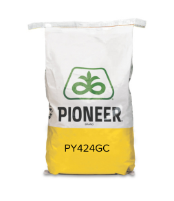 PY424GC bag (253 x 293 px).png