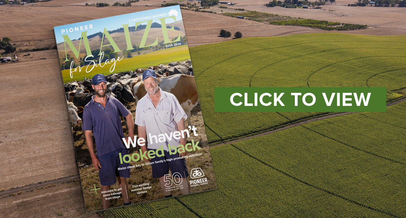 GT030 WB AUS Silage Catalgoue 2025 - Thumnail 1 650x350_v1.jpg