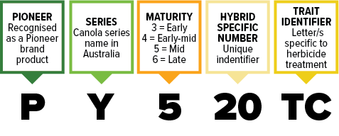 NAMING CONVENTIONS CANOLAAsset 1@2x.png